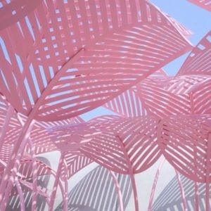 Meet your Posher, Rosalia